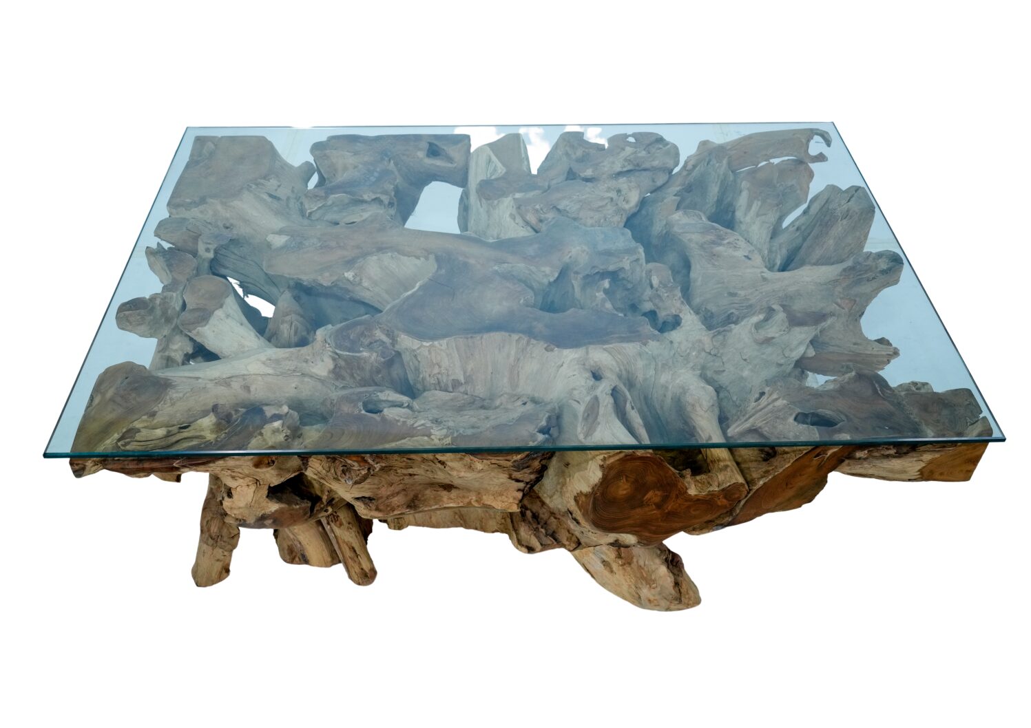 Amara rectangle root coffee table in solid wood