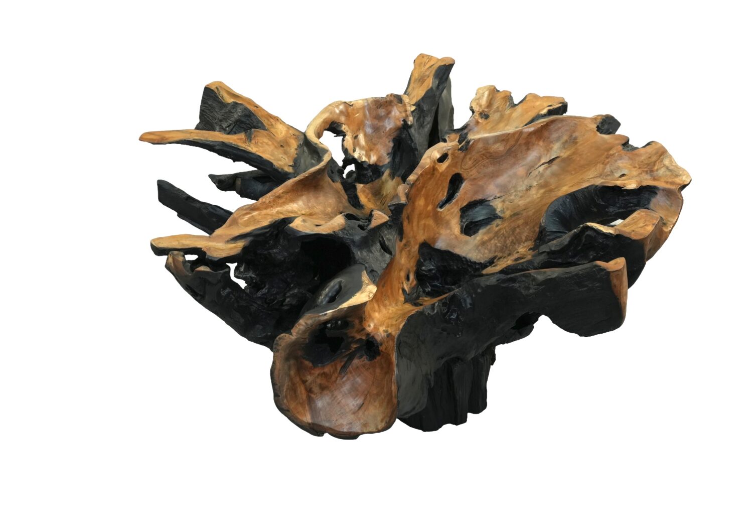 Hand Carved Teak Root Coffee Table