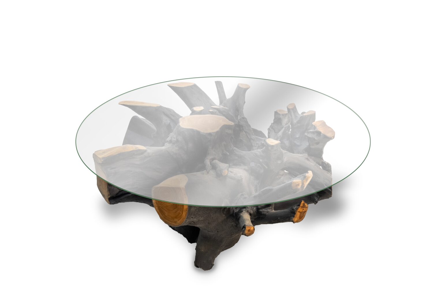Amara Teak Root Coffee Table