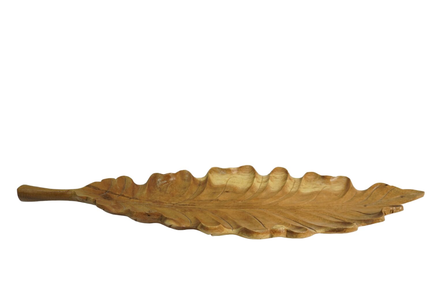 Teak Leaf