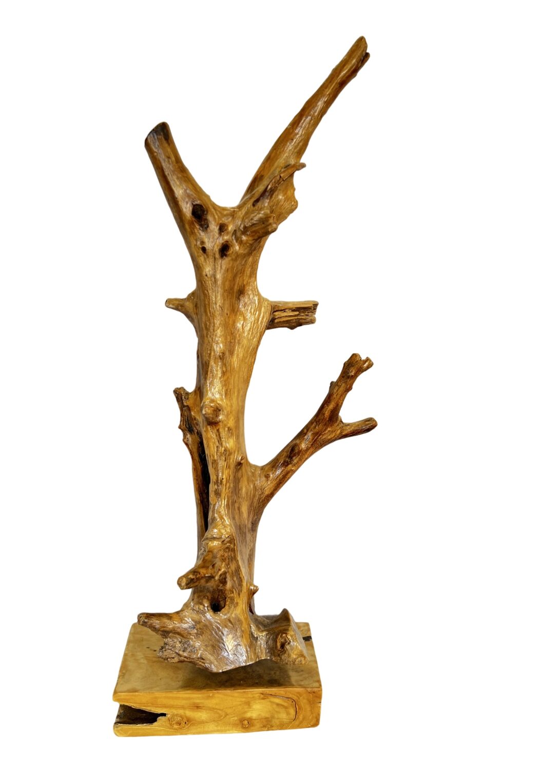 Teak tree sculpture 1