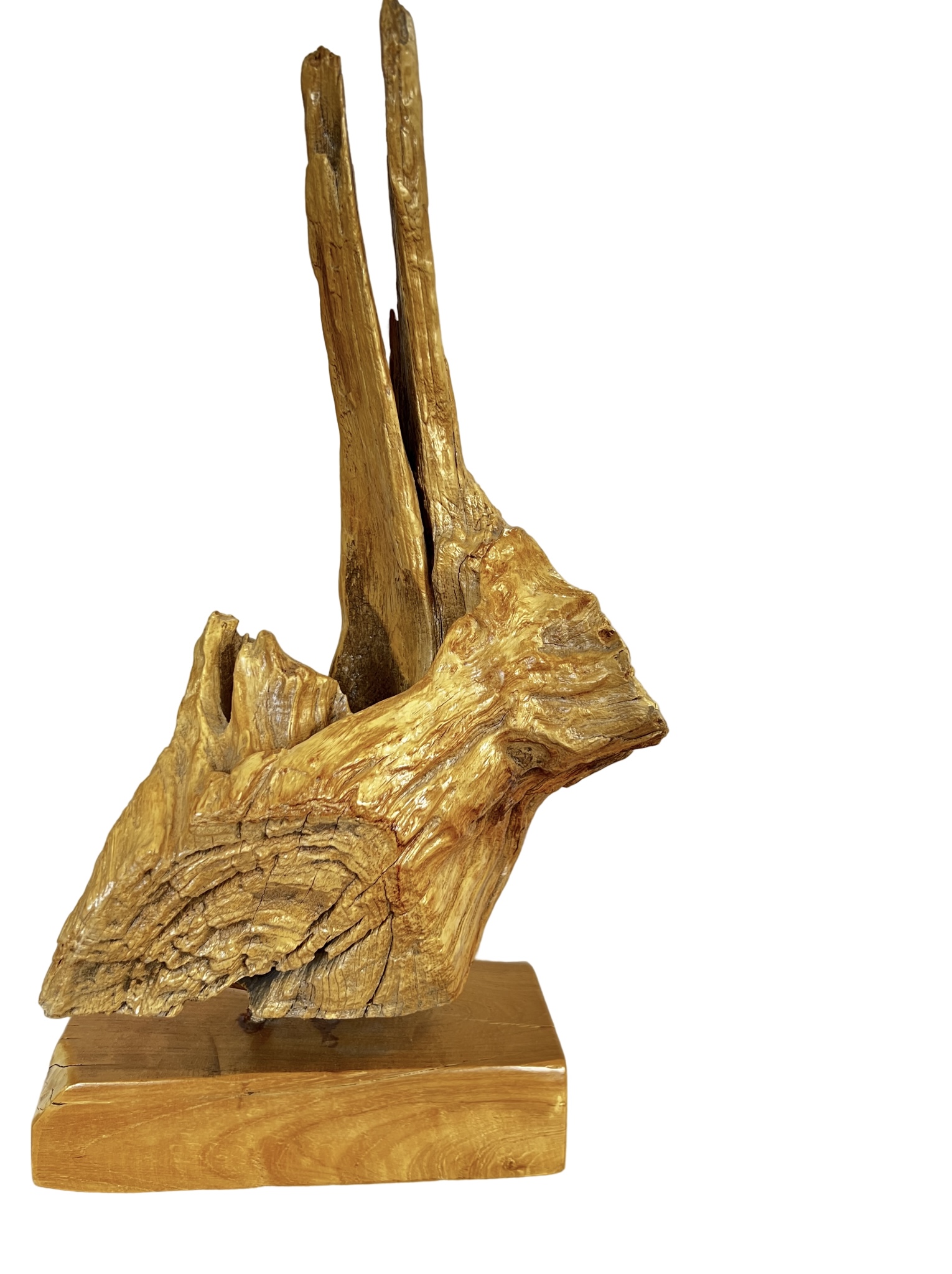 Teak Tree Sculpture 2
